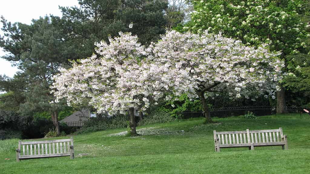 Λονδίνο μια Ανοιξιάτικη μέρα